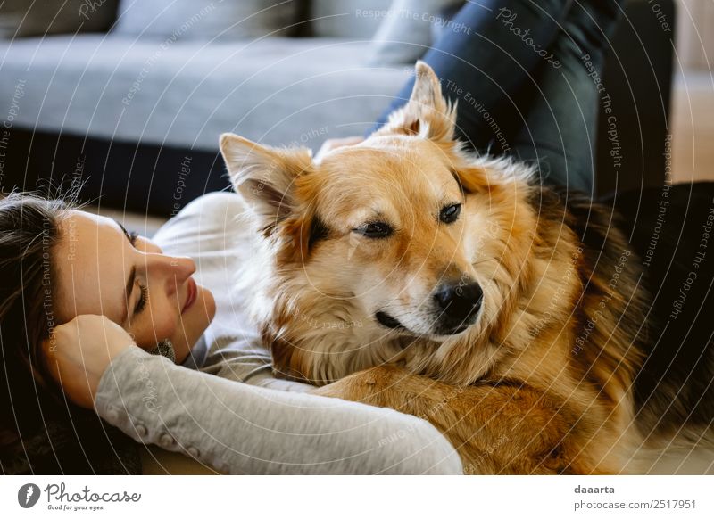 good company :))) Lifestyle Elegant Style Design Joy Harmonious Leisure and hobbies Adventure Freedom Living or residing Furniture Animal Pet Dog Observe Love
