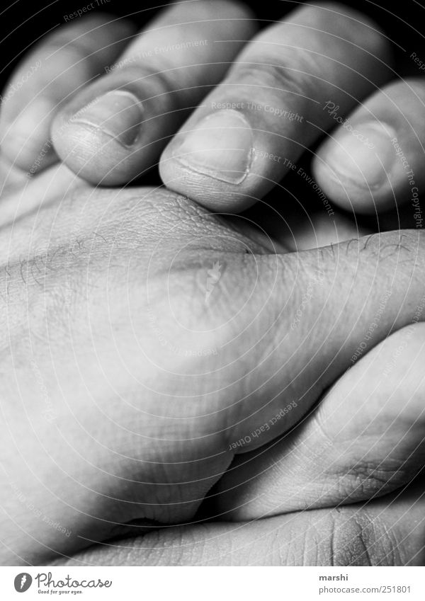 loving hands Human being Masculine Skin Hand Fingers Soft Nail Detail Men`s hand Groomed Wrinkles Black & white photo