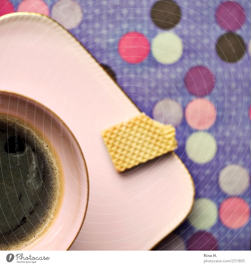 coffee break Cookie Hot drink Coffee Crockery Plate Cup Delicious Multicoloured Violet Pink To enjoy Point Spotted Pattern Colour photo Interior shot Deserted