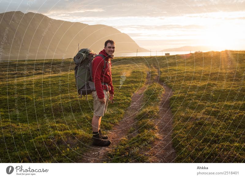 Young man with hiking backpack in midnight sun at the fjord Vacation & Travel Adventure Far-off places Freedom Island Hiking Youth (Young adults) Sun Grass Bay