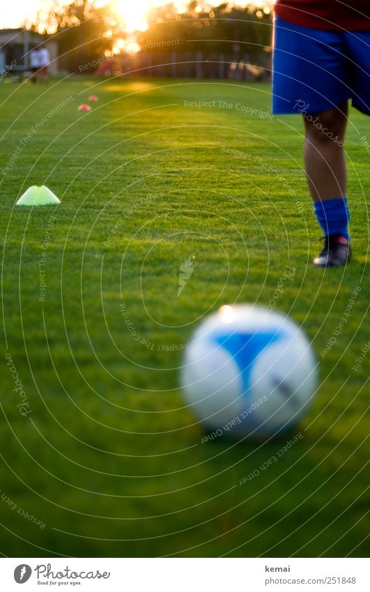 19.30 h, start of training Leisure and hobbies Sports Ball sports Sportsperson Soccer Foot ball marking cone Sporting Complex Football pitch Grass surface
