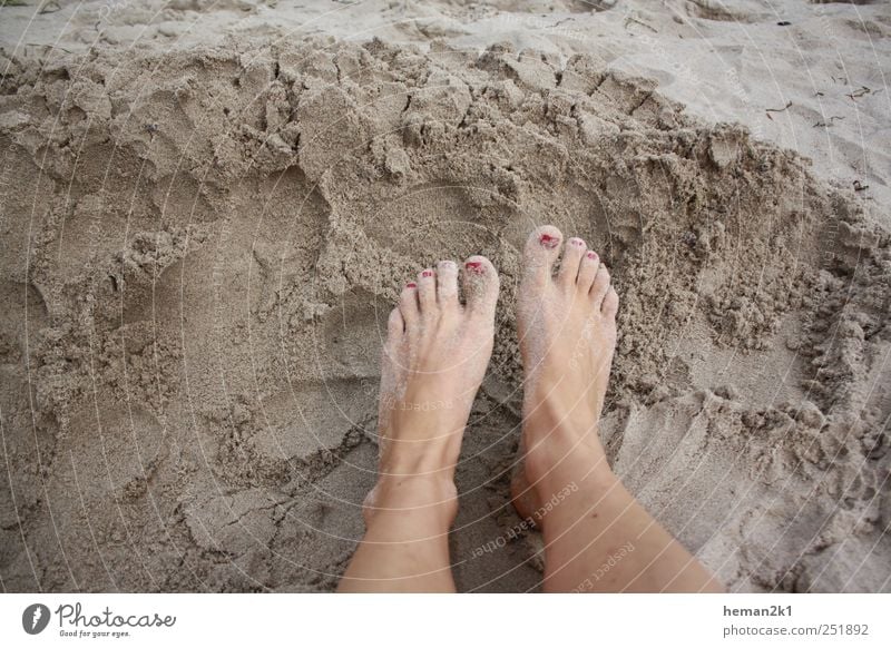 patch feet in the sand Summer Beach Woman Adults Legs Feet 1 Human being Sand Colour photo Exterior shot Day