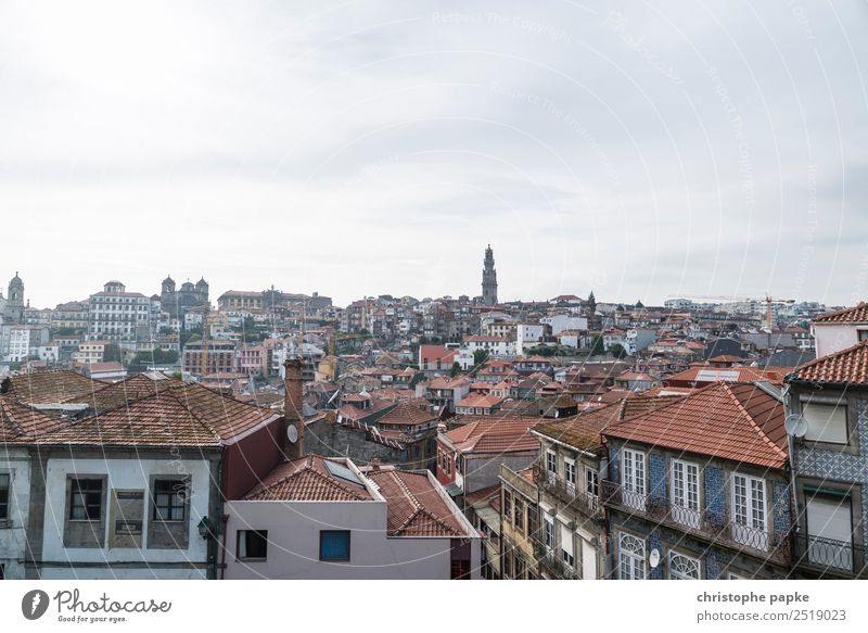 Portos Roofs Portugal Europe Town Downtown Old town House (Residential Structure) Vacation & Travel Travel photography City trip Colour photo Exterior shot