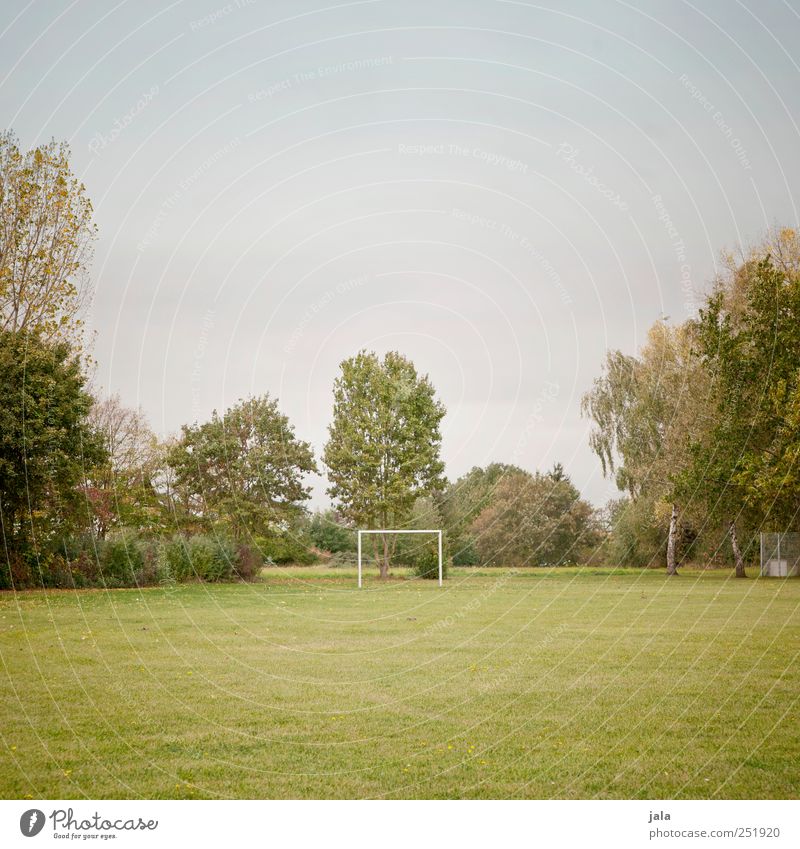 playing field Goal Football pitch Environment Nature Sky Autumn Plant Tree Grass Foliage plant Meadow Esthetic Natural Clean Blue Green Colour photo