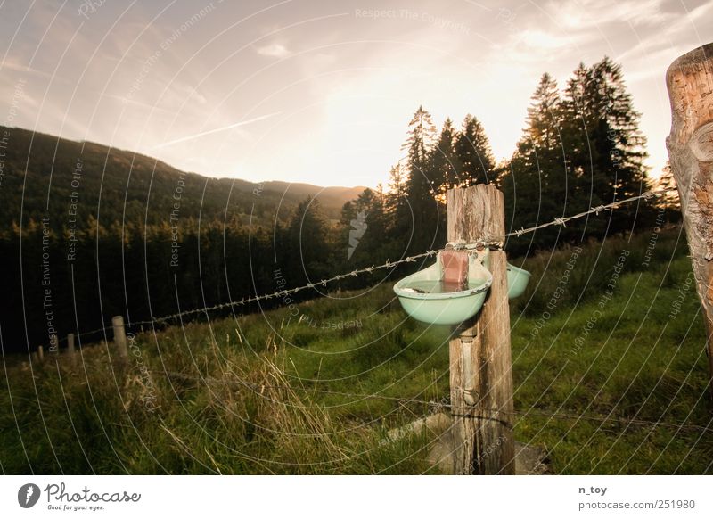 drinking trough Vacation & Travel Tourism Trip Freedom Mountain Nature Landscape Sky Clouds Autumn Relaxation Brute watering place Bavaria Barbed wire