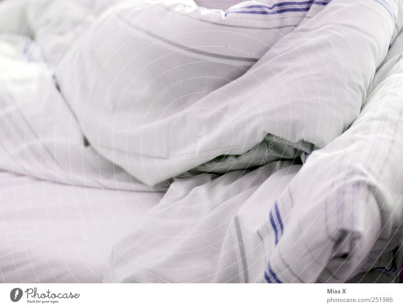 grey Bed Sleep Gray White Bedclothes Blanket Striped Cover up Colour photo Subdued colour Interior shot Close-up Pattern Deserted Morning Dawn Light High-key