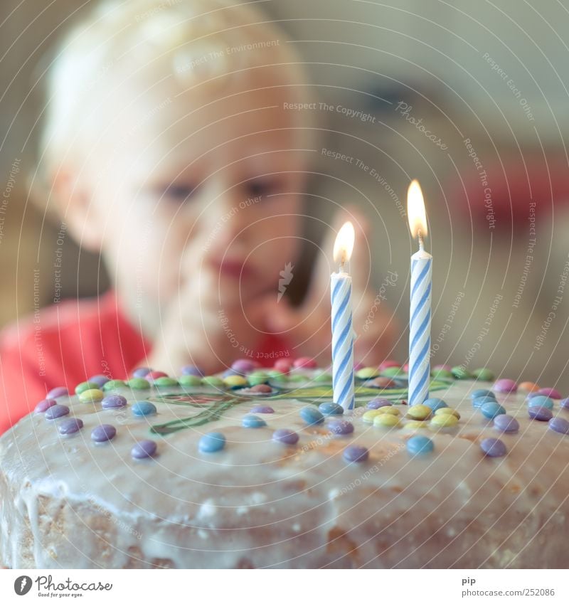two Cake Birthday cake Human being Masculine Child Head Fingers 1 1 - 3 years Toddler Eating Feasts & Celebrations Blonde Joy To enjoy Happy Growth Candle Flame