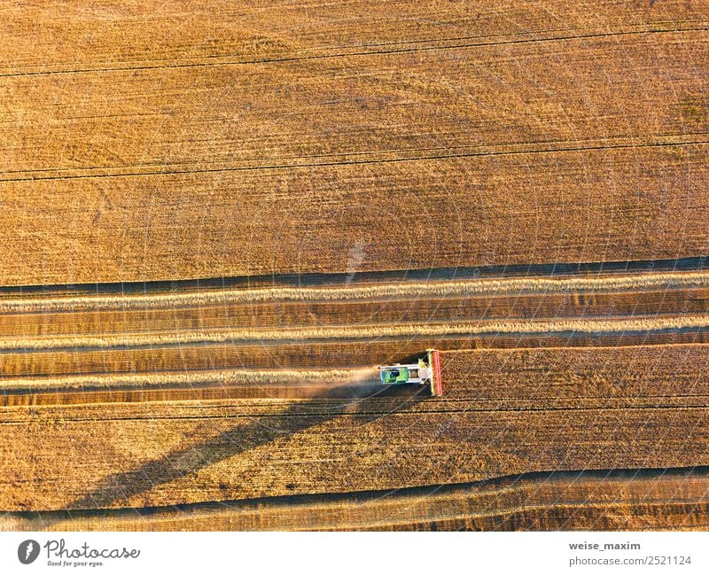 Harvester machine working in field. Combine machine Summer Work and employment Industry Business Machinery Nature Landscape Plant Earth Sand Sunrise Sunset