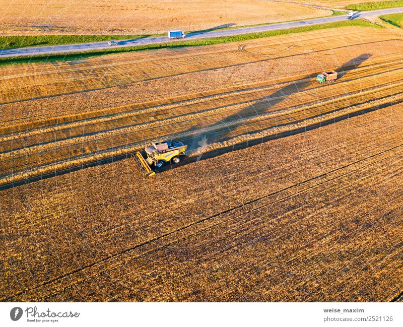 Harvester machine working in field Far-off places Summer Work and employment Industry Business Machinery Nature Landscape Plant Sunrise Sunset Sunlight Autumn