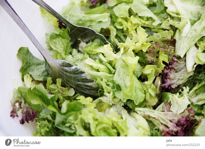 CHAMANSÜLZ | foodfoto Food Lettuce Salad Nutrition Lunch Organic produce Vegetarian diet Diet Bowl Cutlery Healthy Green White Colour photo Exterior shot