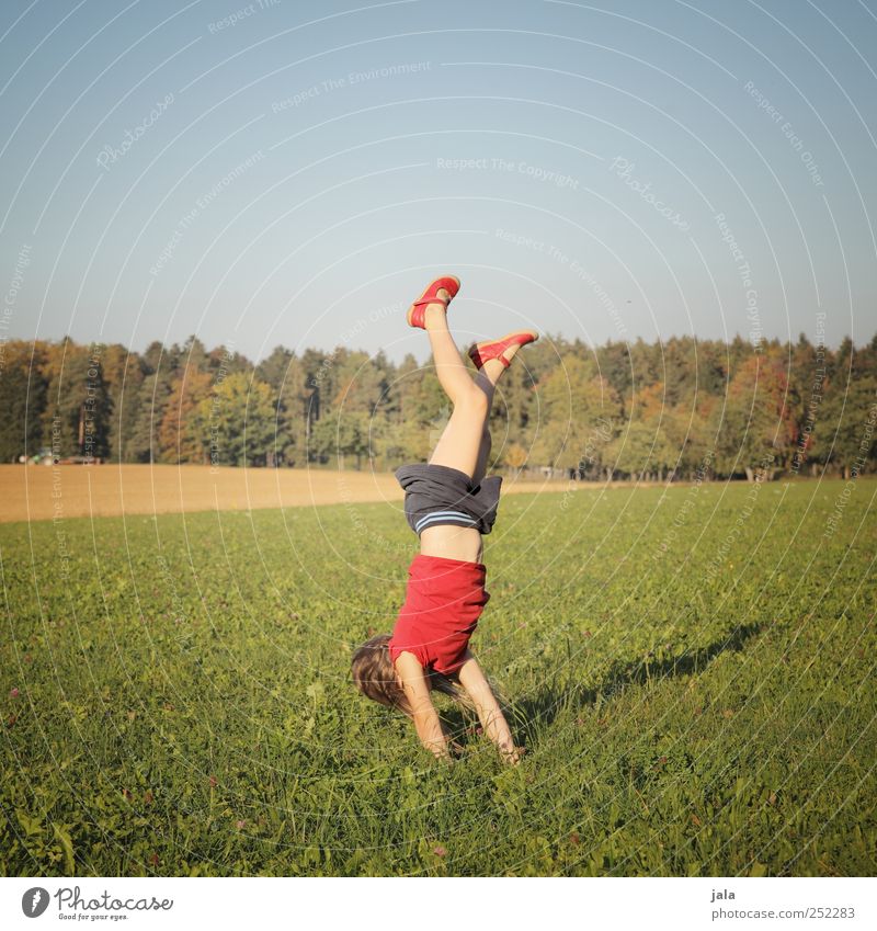 CHAMANSÜLZ | handstandhexel Human being Child Girl 1 3 - 8 years Infancy Environment Nature Landscape Sky Autumn Plant Tree Grass Meadow Forest Beautiful Joy