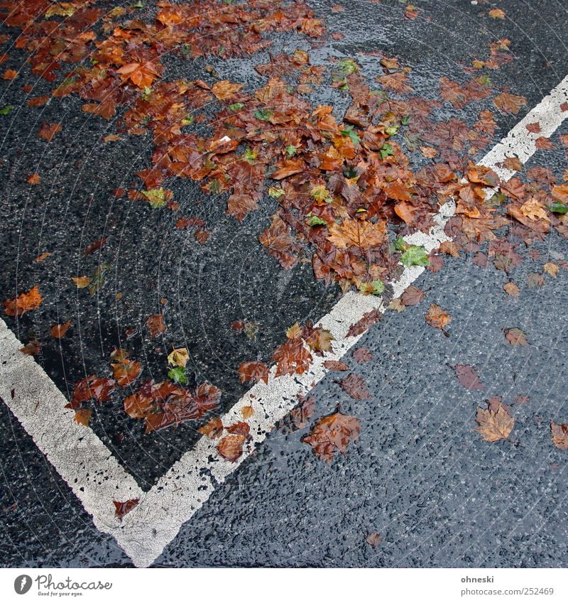 autumn Autumn Weather Bad weather Rain Street Parking lot Sadness Grief Fatigue Wet Colour photo Exterior shot Structures and shapes Deserted Copy Space bottom