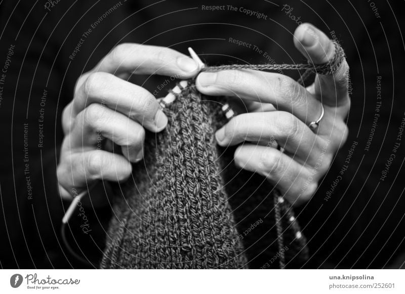 knitting dolly Leisure and hobbies Handcrafts Knit Feminine Woman Adults Fingers 1 Human being Movement To hold on Make Authentic Creativity Wool