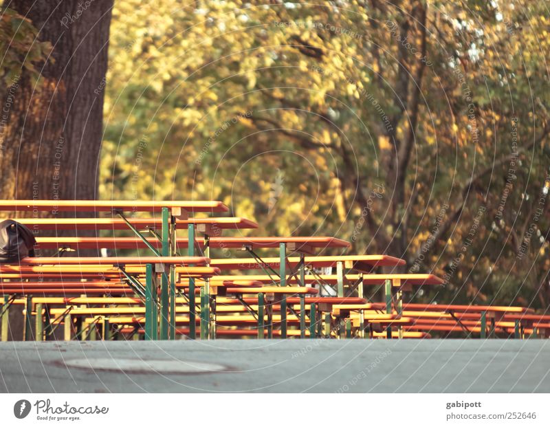 places still available Chair Table Going out Event Brown Idyll Break Perspective Wooden bench Wooden table Seating Destination Outdoor furniture Tavern Autumn