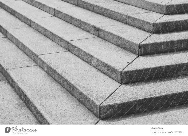 Steps sw Museum Stage House (Residential Structure) Manmade structures Architecture Stairs Terrace Lanes & trails Going Gray Black White Palace