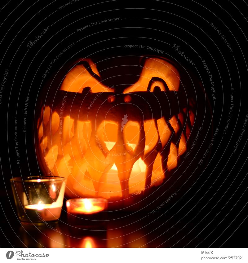 Happy Halloween Vegetable Hallowe'en Eyes Mouth Teeth Dark Creepy Facial expression Face Grinning Grimace Candle Candlelight Decoration Pumpkin