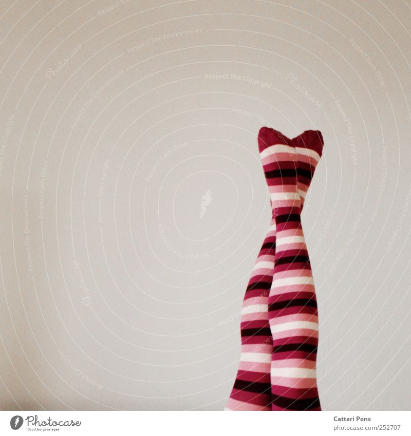simple & strange Tights Cloth Hang Simple Hip & trendy Funny Modern Flip over Legs Feet Calf Striped Pink White Bright Smooth Fashion Structures and shapes