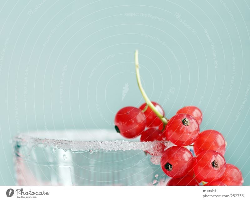 Sugar for the bears Food Fruit Nutrition Juice Glass Sweet Blue Red Sugar edge Redcurrant Berries Decoration Delicious Colour photo Interior shot