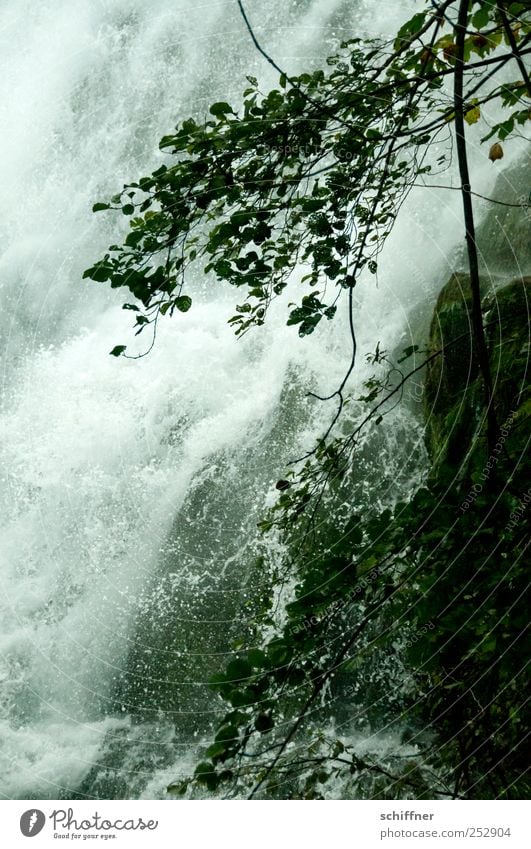 No waterfall Environment Nature Plant Water Waterfall Dark Loud Hydroelectric  power plant Torrents of water Plummeting To fall Roaring Wet Tree Branch Leaf