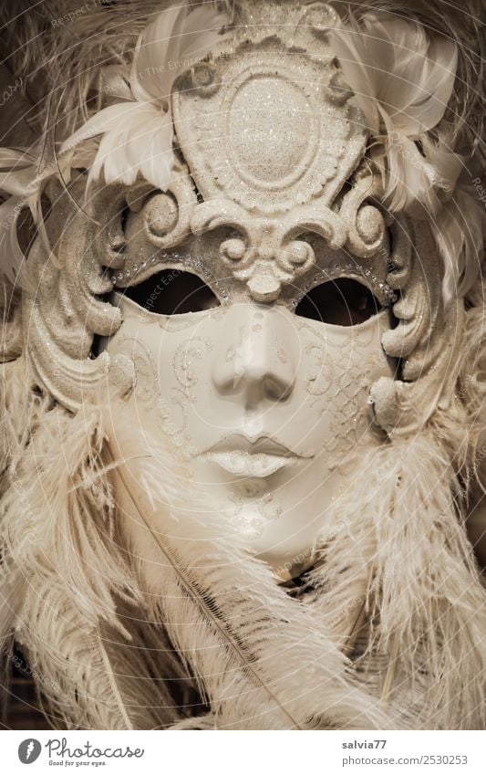 Emotion hidden Face Mask Black White Carneval masque Metal coil Feather headdress Looking Empty Expressionless Gaze Hide Venice Carnival Black & white photo