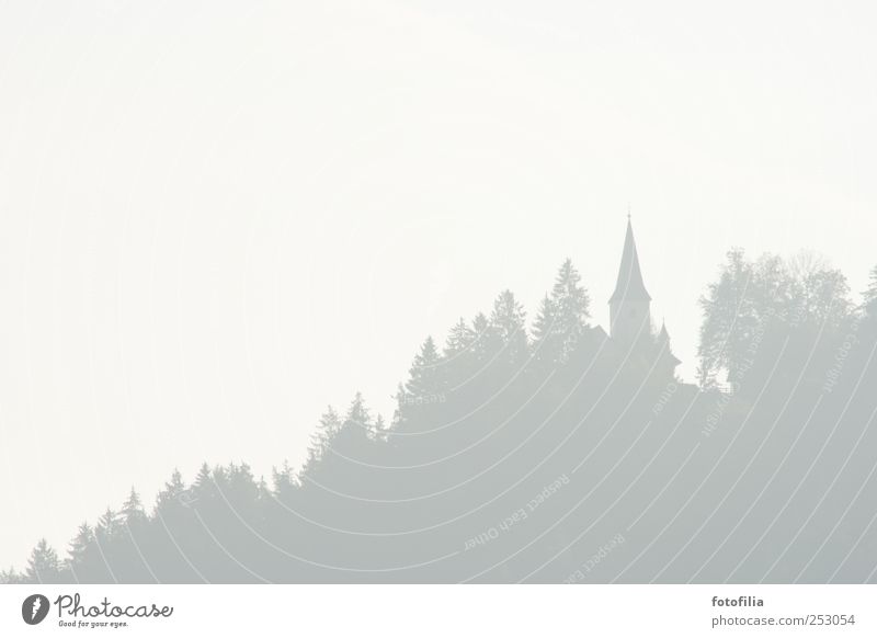 All Saints' Day Landscape Bad weather Fog Tree Forest Austria Church Church spire Subdued colour Deserted Copy Space left Copy Space right Copy Space top
