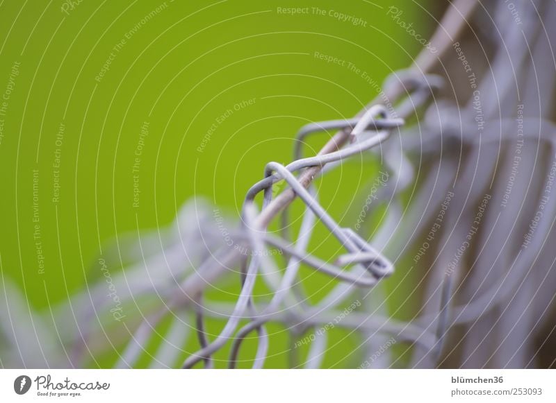 Wire fence meshes Fence Wire netting fence Metal Knot Network To hold on Sharp-edged Gray Green Protection Safety Divide Attachment Border Barrier Chaos Plaited