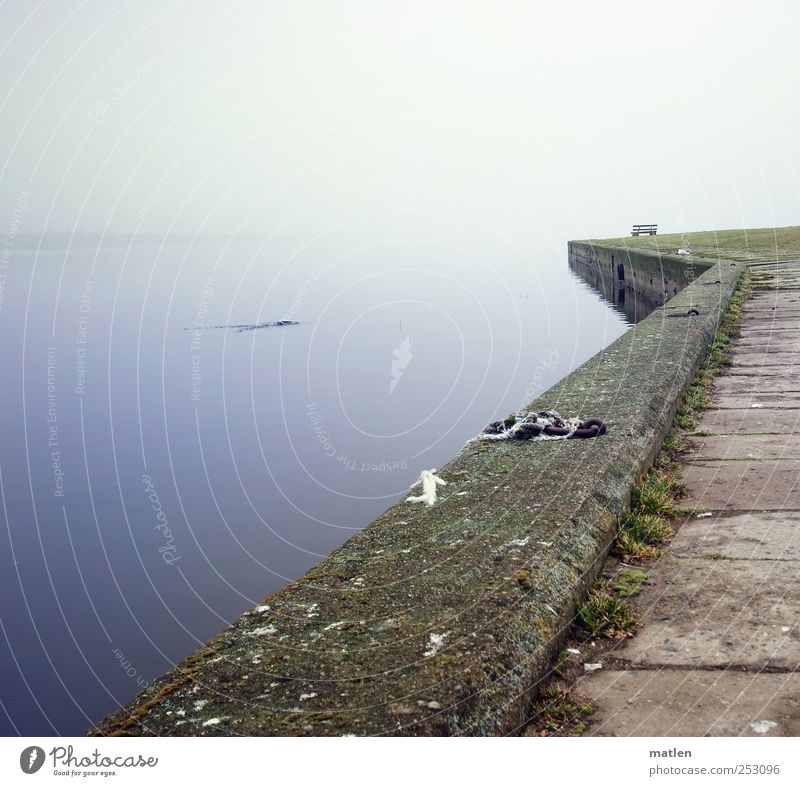instant Landscape Fog Baltic Sea Animal 1 Stone Concrete Water Hunting Blue Brown wharf Bench tranquillity Still Life Subdued colour Deserted Copy Space left