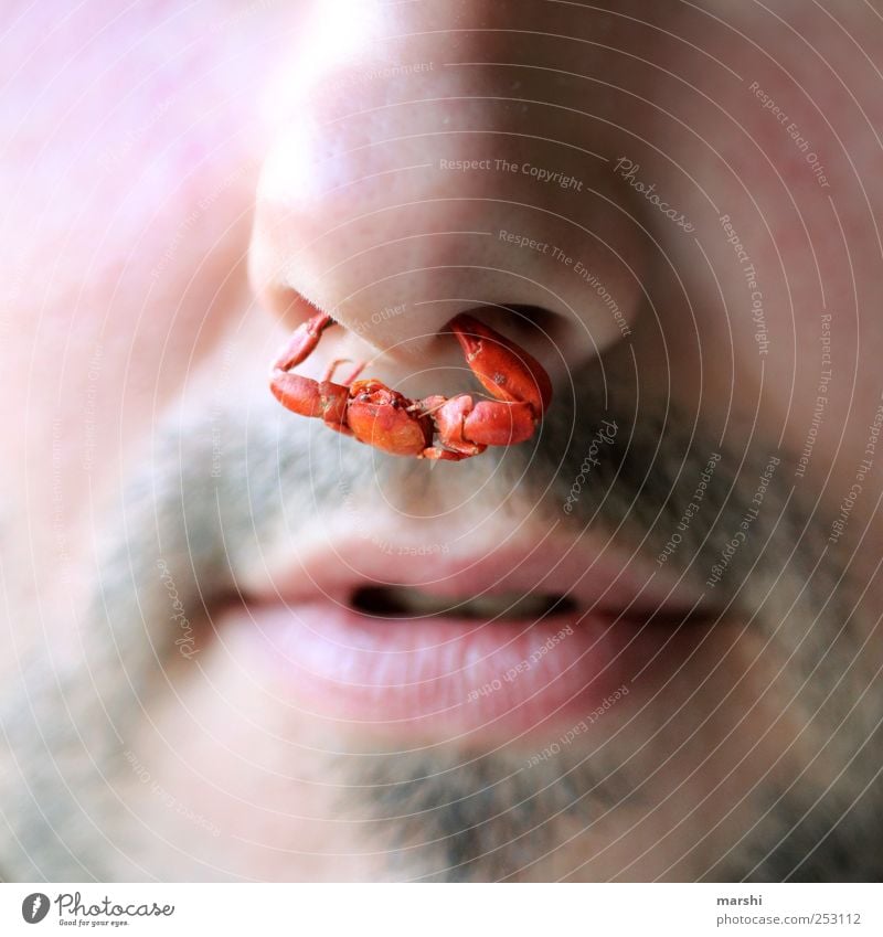 The nose ring for the man - a Royalty Free Stock Photo from Photocase