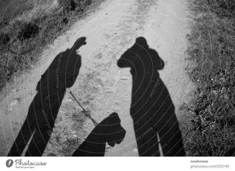 Way of shadow Masculine Partner 2 Human being Observe Stand Happiness Fresh Natural Positive Black White Joy Joie de vivre (Vitality) Agreed Attentive Calm