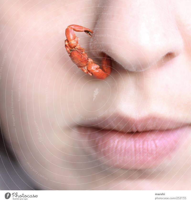 That men always have to cling like this.... Human being Feminine Woman Adults Skin Face Nose Mouth 1 Red To hold on Cancer Shrimp Animal face Animalistic Small