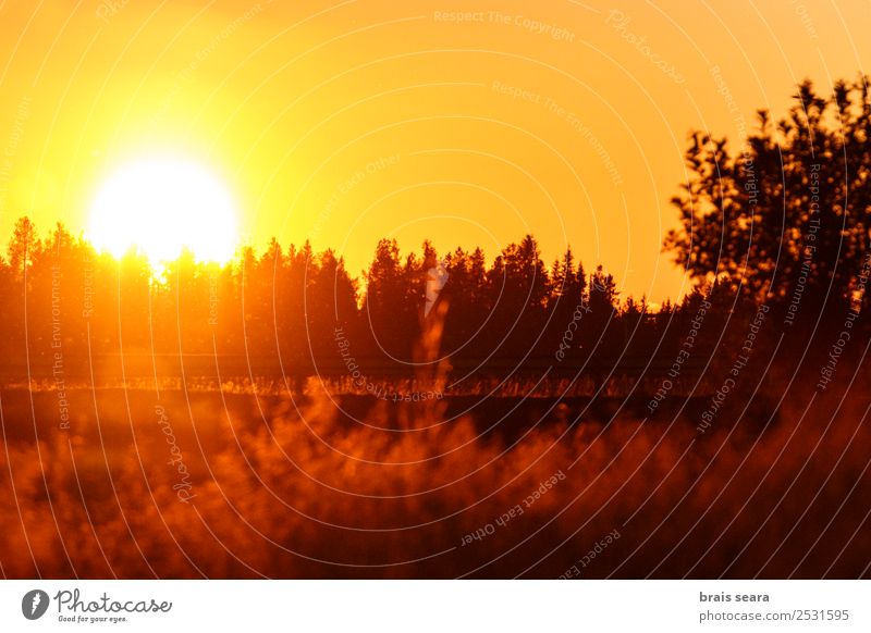 Sunset over forest Beautiful Vacation & Travel Tourism Trip Summer Mountain Solar Power Environment Nature Landscape Earth Sky Horizon Autumn Tree Park Forest