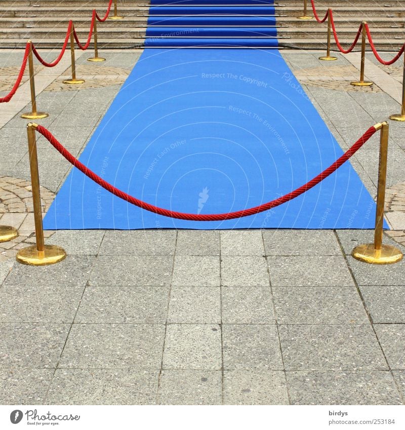 Blue carpet with noble barrier elements as a reception for prominent guests. Red carpet. blue carpet Receive Fame Luxury Noble VIPs Style Event Going out Shows