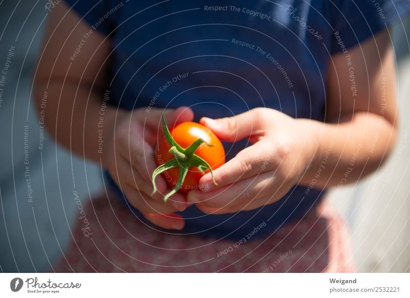 Tomato child I Food Vegetable Italian Food Toddler Infancy 1 Human being 1 - 3 years 3 - 8 years Child Summer Friendliness Happiness Fresh Healthy Happy Hand