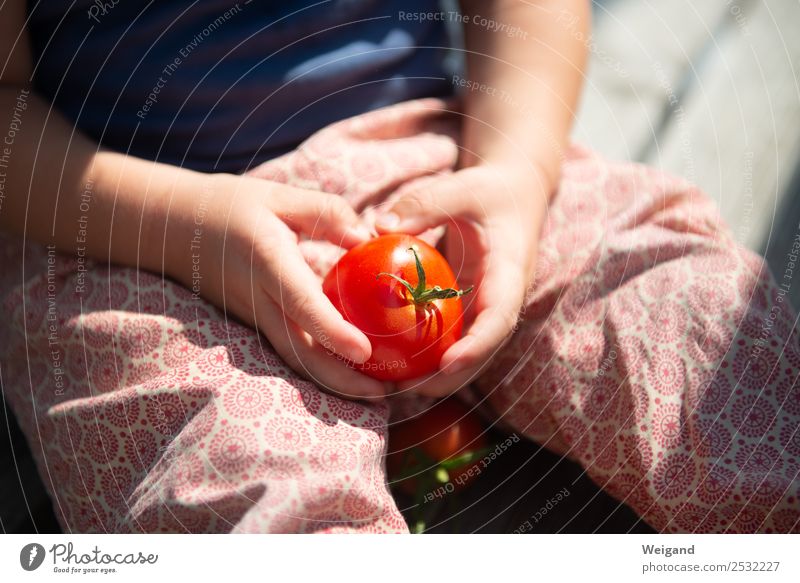 tomato happiness Food Vegetable Eating Lunch Well-being Baby Toddler Infancy 1 Human being 1 - 3 years 3 - 8 years Child Relaxation To enjoy Red Acceptance