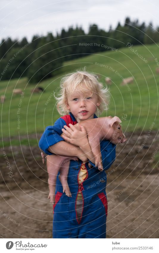 Pig had 2 Agriculture Forestry Toddler Girl 1 Human being 3 - 8 years Child Infancy Animal Farm animal Baby animal Embrace Love of animals Friendship Attachment