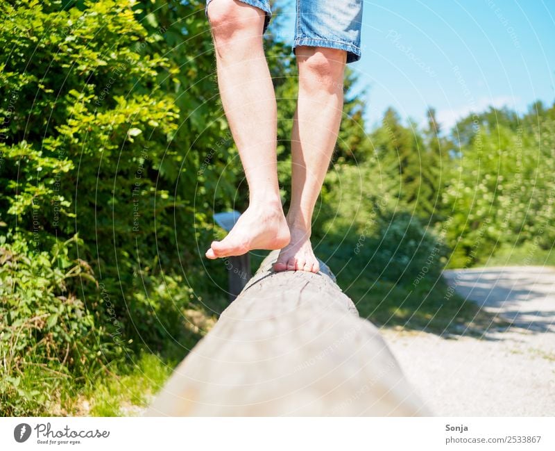 Man, Barefoot, Tree trunk, Nature, Fitness, Exercise Lifestyle Leisure and hobbies Trip Summer Human being Masculine Adults Legs 1 45 - 60 years Wood Walking