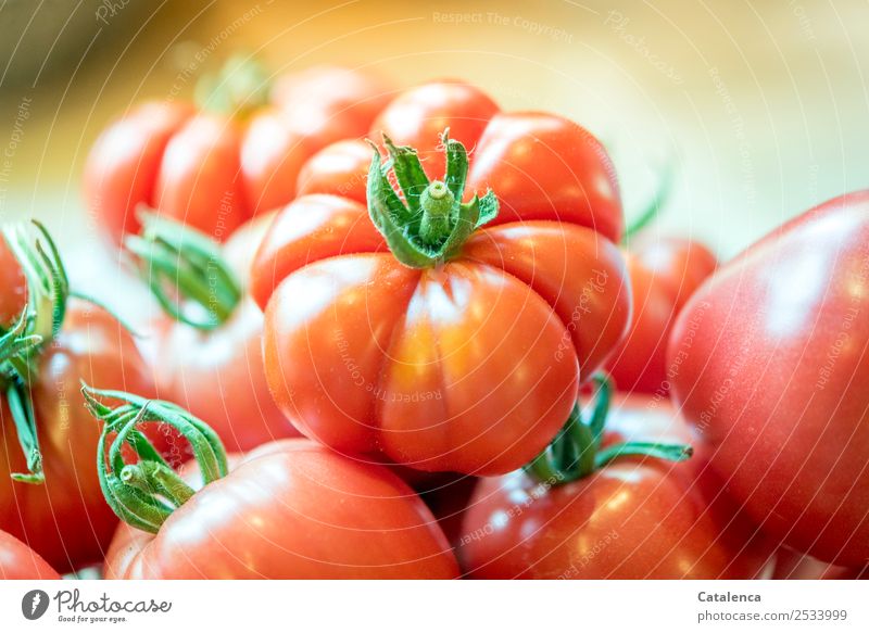 tomatoes Nutrition Organic produce Vegetarian diet Slow food Italian Food Vegetable Autumn Plant Agricultural crop Tomato Eating Juicy Orange Pink Red