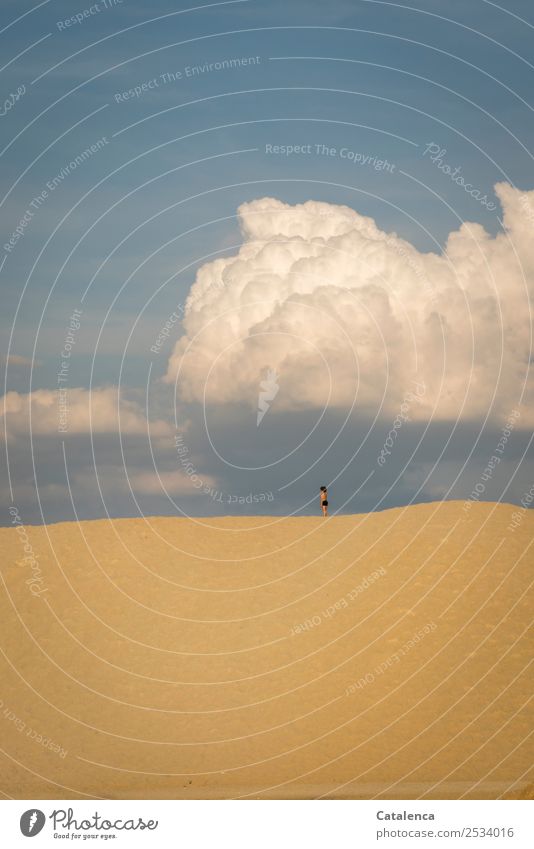 Thriller | escaped, a child in swimming trunks on a sand dune on the horizon Trip Far-off places Androgynous Child 1 Human being Nature Landscape Sand Sky
