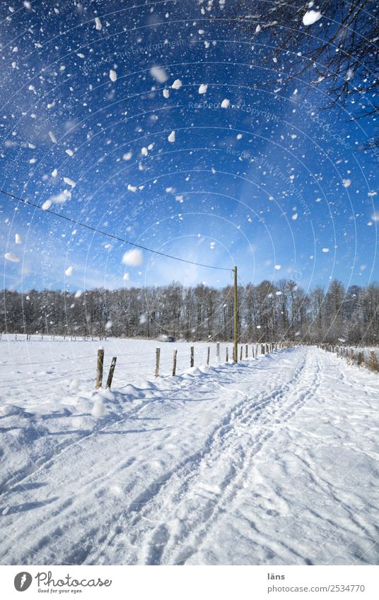 snow flurries Environment Nature Landscape Sky Winter Beautiful weather Ice Frost Snow Snowfall Blue White Movement Transience Lanes & trails Snowscape