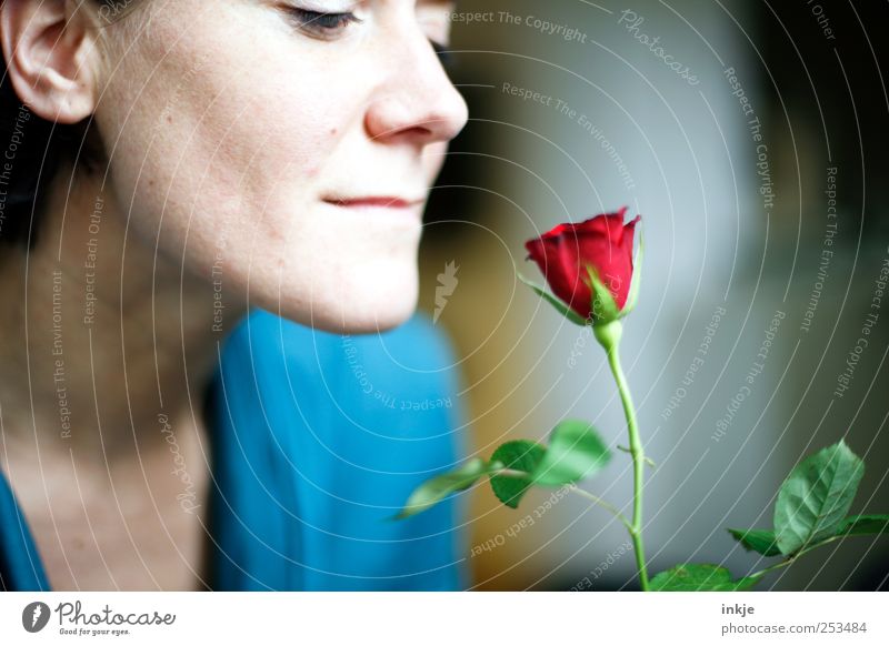 I love you too! Elegant Happy Flirt Valentine's Day Mother's Day Birthday Feminine Partner Adults Life Face 1 Human being Rose Blossoming Fragrance Smiling