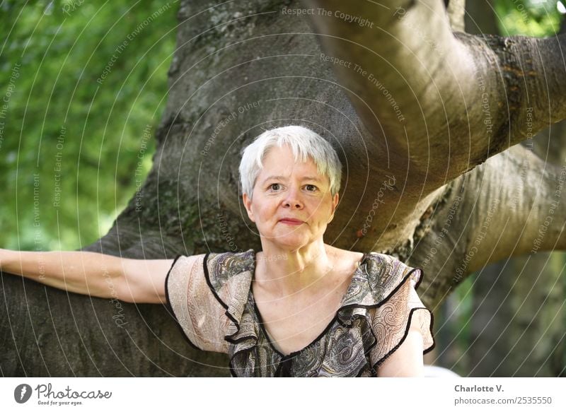 In the tree Human being Feminine Woman Adults Female senior 1 45 - 60 years Nature Tree Gray-haired Short-haired Wood Touch Relaxation Smiling Looking Authentic