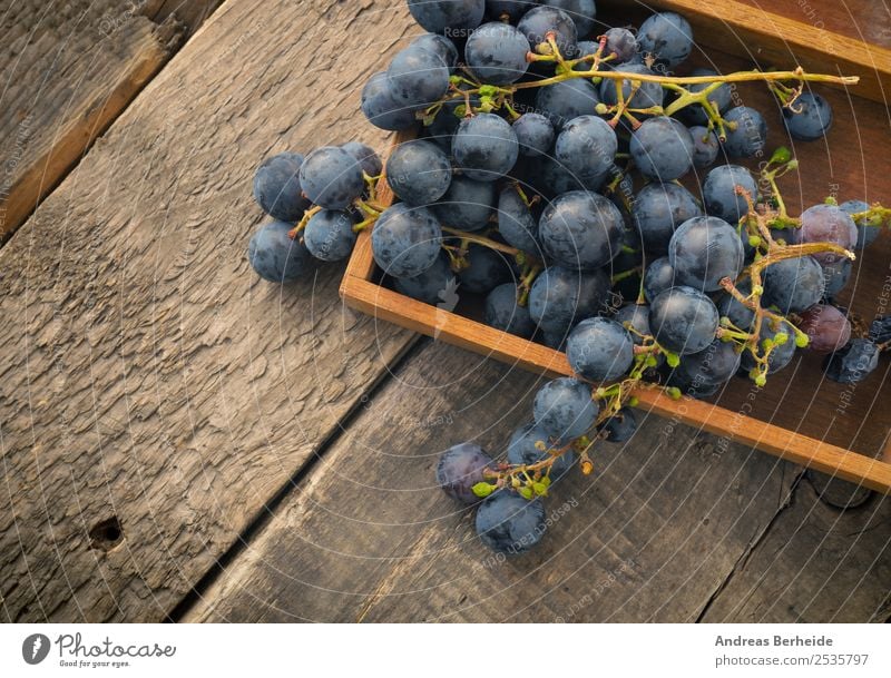 Grapes in a wooden box Fruit Dessert Organic produce Vegetarian diet Diet Healthy Eating Summer Nature Delicious agriculture berry blue branch bunch food