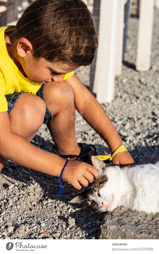 Adorable little boy caressing a cat on the street Lifestyle Joy Happy Beautiful Leisure and hobbies Playing Summer Child Human being Masculine Toddler