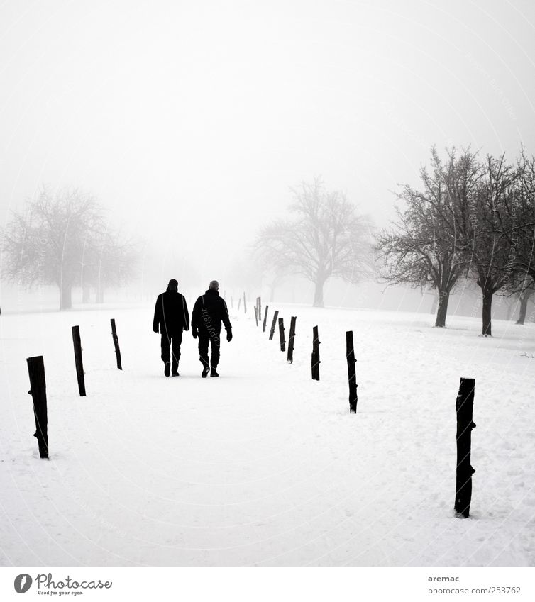 dialogue Winter Human being Masculine Man Adults Couple 2 Nature Landscape Plant Fog Snow Tree Park Relaxation Going To talk Hiking Cold Gray Together Calm