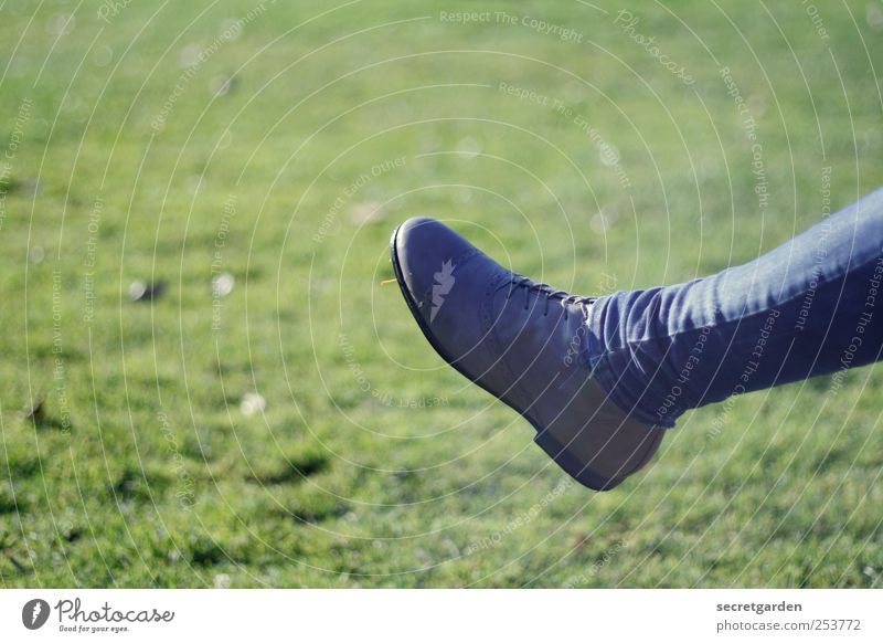 kick it like beckham! Legs Feet 1 Human being Grass Meadow Clothing Pants Footwear Blue Green Thin Skinny jeans Copy Space top Bright background Isolated Image