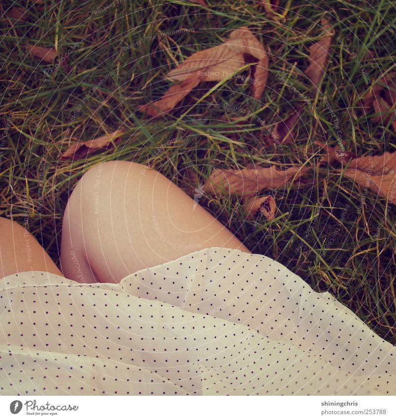 lay down, cause you know it will last.. Feminine Legs 1 Human being Nature Earth Autumn Garden Park Dress Sit Beautiful Natural Thin Passion Warm-heartedness