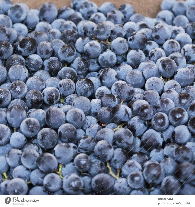 Vintage. Food Esthetic Blue Vine Bunch of grapes Grape harvest Wine growing Many Fruit Mature Berries Colour photo Exterior shot Close-up Pattern Deserted