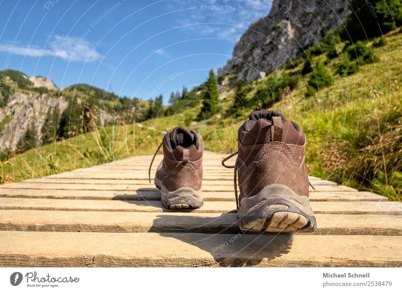Hike! Leisure and hobbies Vacation & Travel Mountain Hiking Hiking boots Environment Nature Landscape Alps Tannheimer Valley Footwear Fitness Fresh Healthy