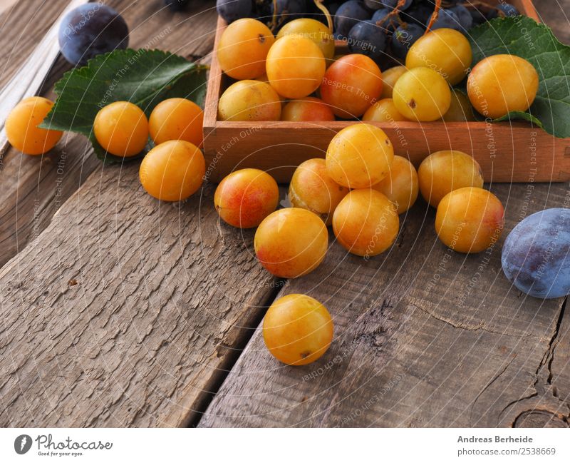 mirabelle plums Fruit Dessert Organic produce Summer Nature Delicious agriculture autumn Background picture berry black blue box branch brown bunch crop dark