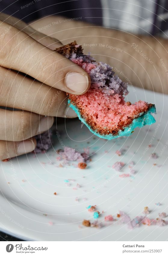 better than colorful candy! Food Cake Nutrition To have a coffee Plate 1 Human being Eating To hold on Exotic Near Sweet Dry Multicoloured Crumbs Fingers